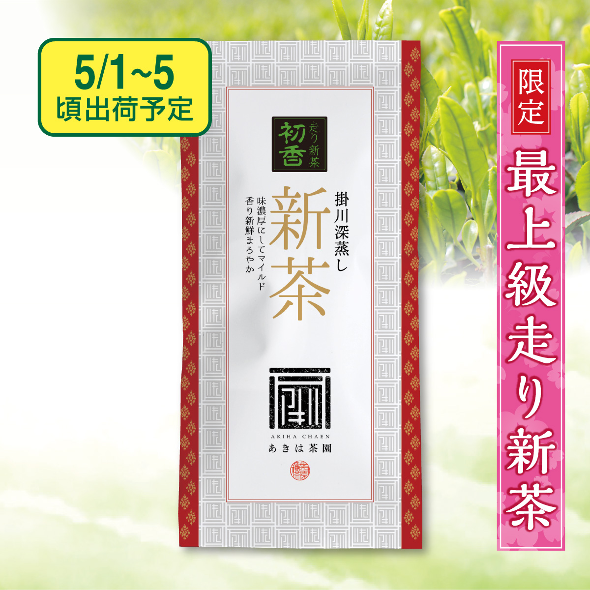 【予約新茶】 最上級走り新茶 初香（はつかおり）【出荷予定日5/1〜5頃】