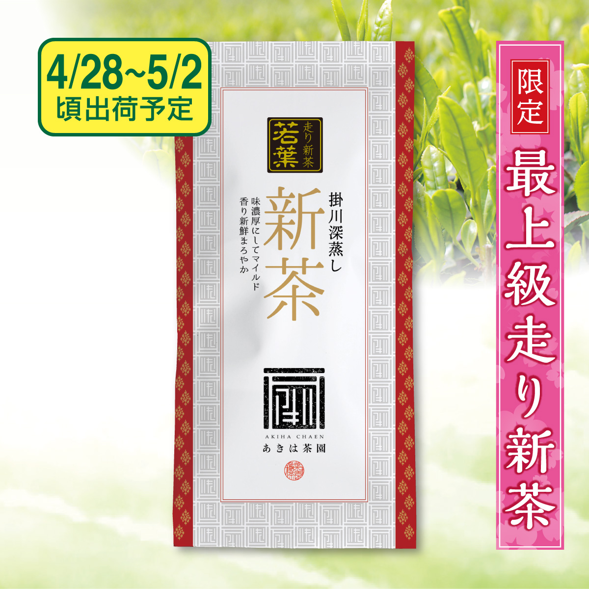【予約新茶】 最上級走り新茶 若葉（わかば）【出荷予定日4/28〜5/2頃】