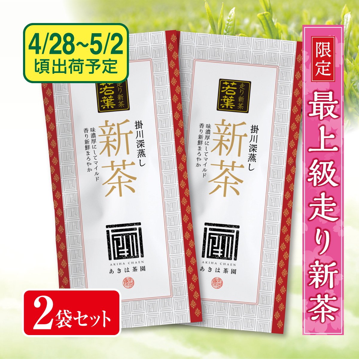 【予約新茶】 最上級走り新茶 若葉（わかば）2袋セット【出荷予定日4/28〜5/2頃】