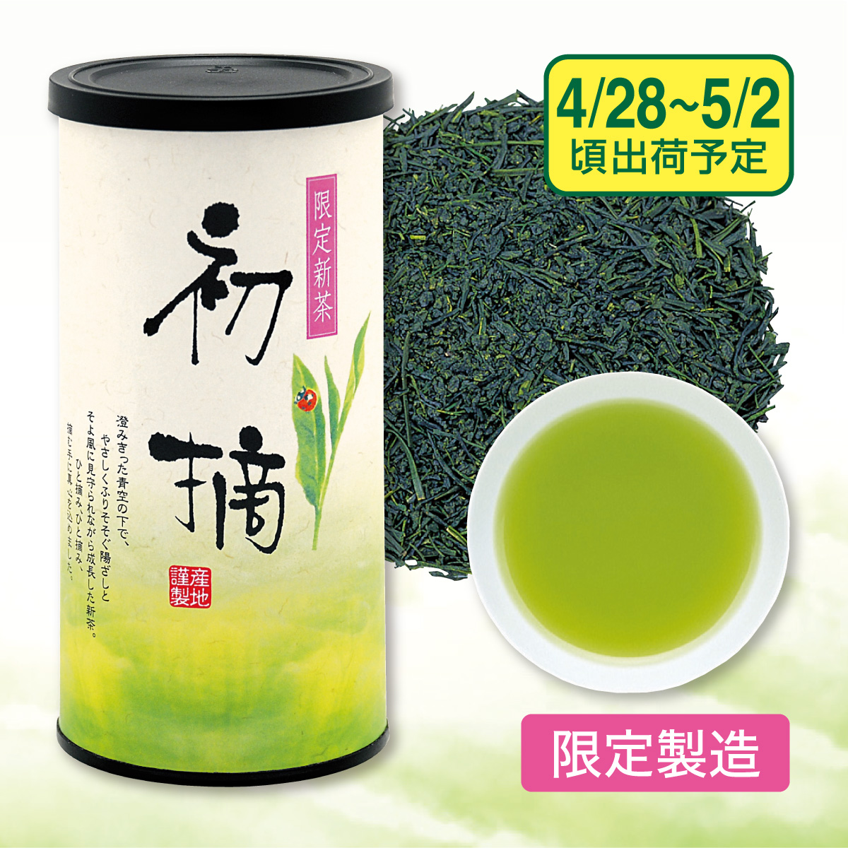 【予約新茶】 初摘（はつづみ）1缶セット【出荷予定日4/28〜5/2頃】
