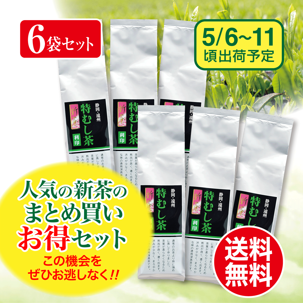 【予約新茶・まとめ買い】特むし茶 利印（りじるし）300g 6袋セット【出荷予定日5/6〜11頃】
