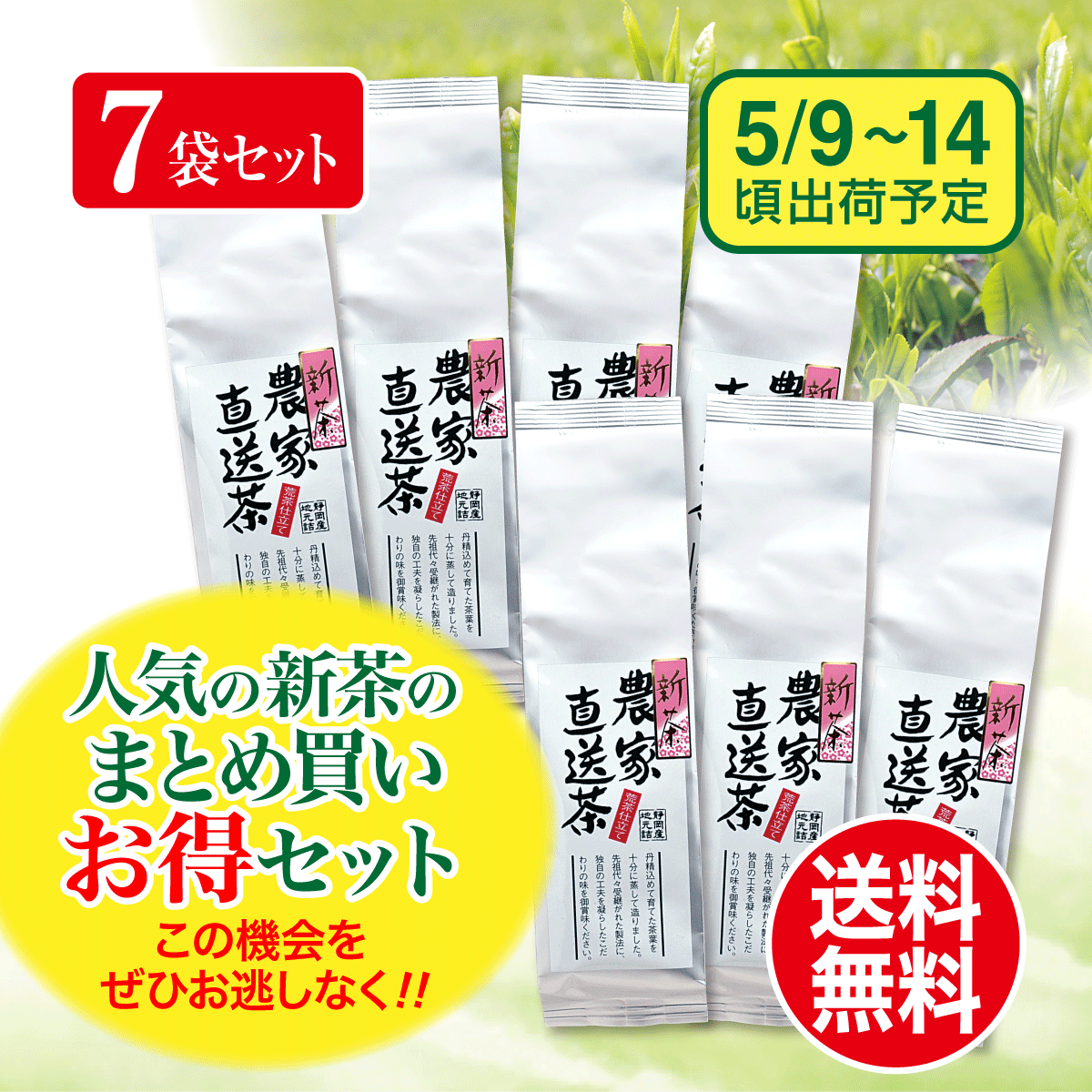 【予約新茶・まとめ買い】農家直送茶 200g 7袋セット【出荷予定日5/9〜14頃】