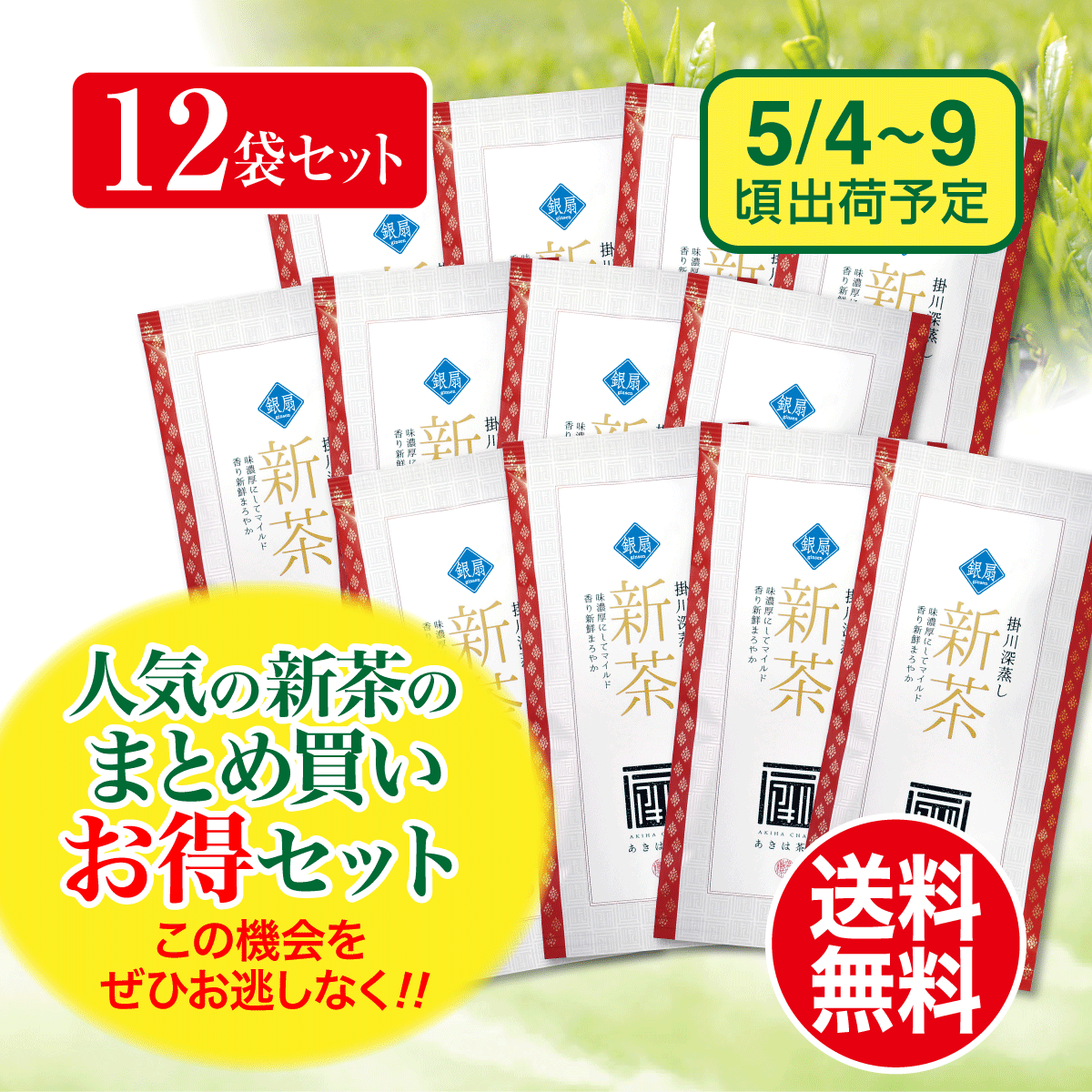 【予約新茶・まとめ買い】銀扇（ぎんせん）100g平袋12袋セット【出荷予定日5/4〜9頃】
