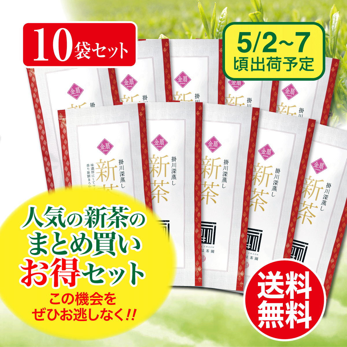 【予約新茶・まとめ買い】金扇（きんせん）100g平袋 10袋セット【出荷予定日5/2〜7頃】