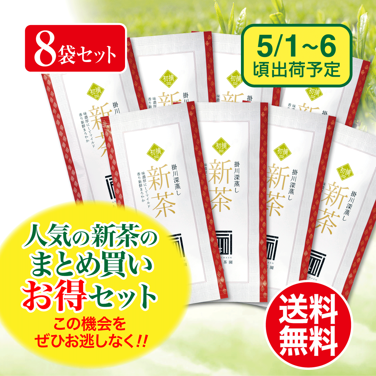 【予約新茶・まとめ買い】初摘（はつづみ）100g平袋8袋セット【出荷予定日5/1〜6頃】