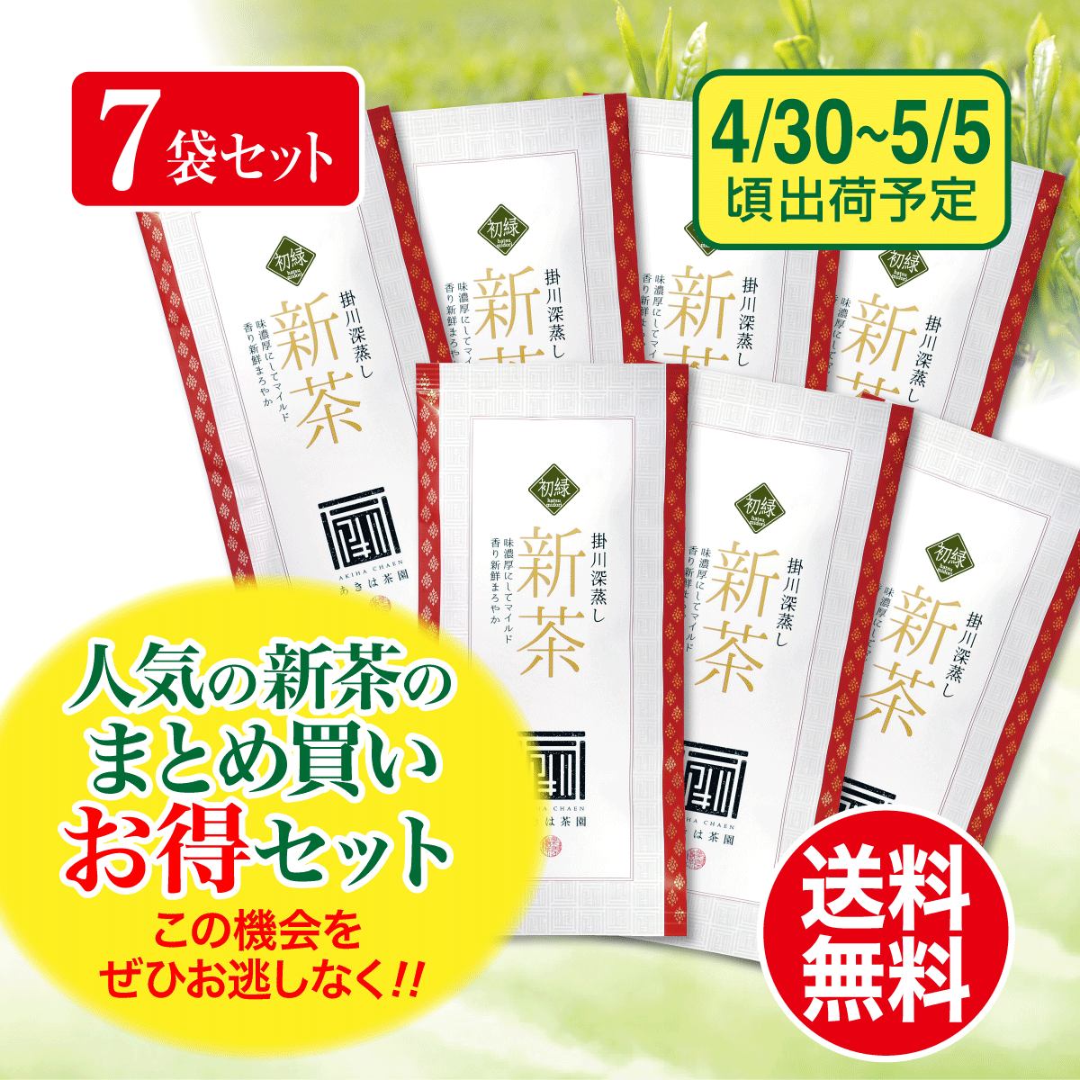 【予約新茶・まとめ買い】初緑（はつみどり）100g平袋 7袋セット【出荷予定日4/30〜5/5頃】