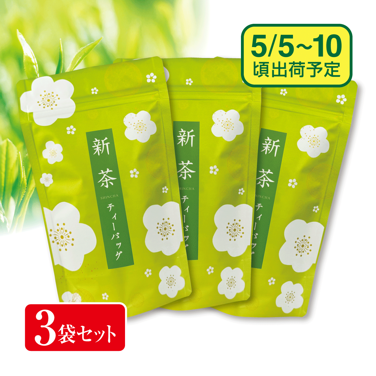 【予約新茶】新茶ティーバッグ 一番摘み3袋セット【出荷予定日5/5〜10頃】
