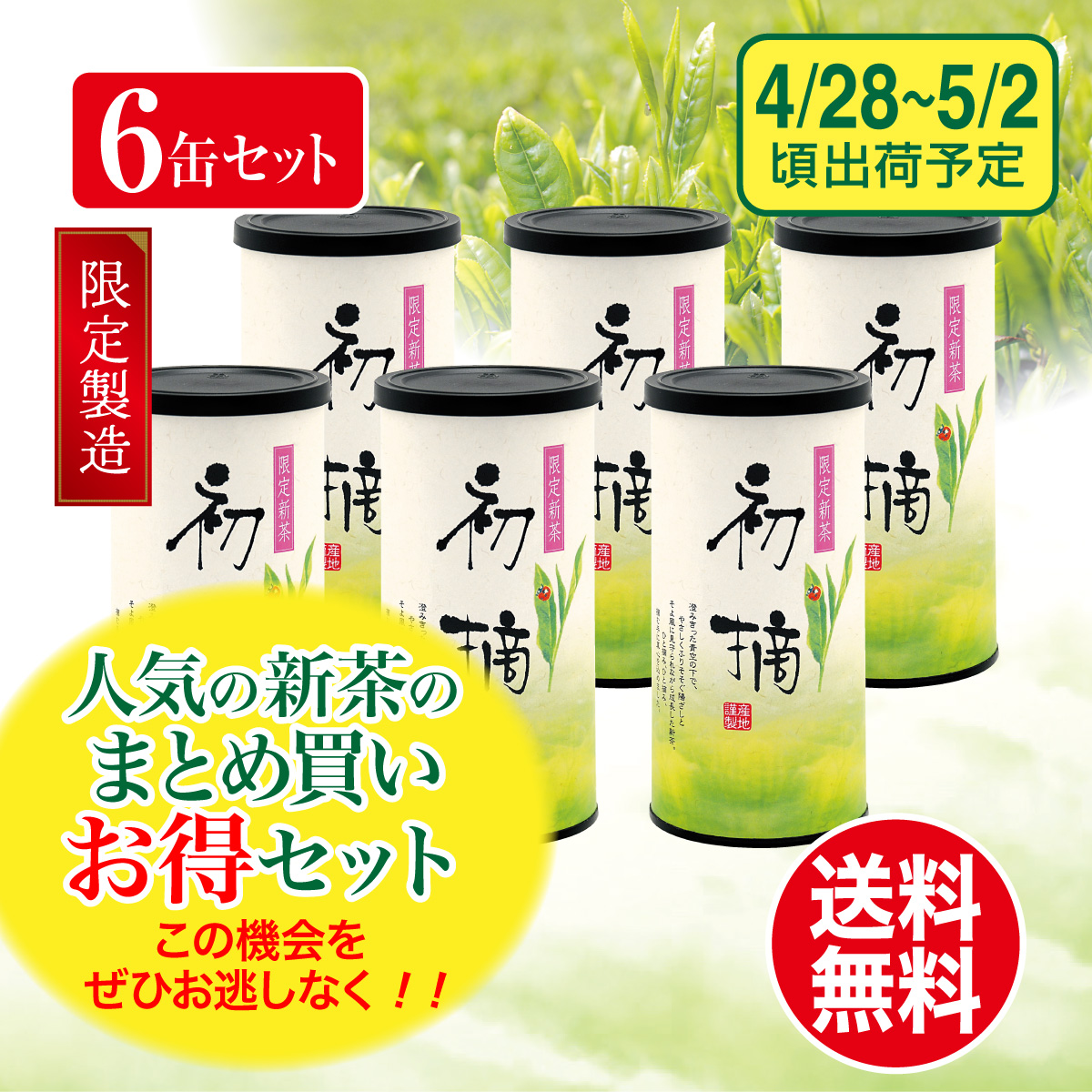 【予約新茶・まとめ買い】限定新茶 初摘 130g 6缶セット【出荷予定日4/28〜5/2頃】