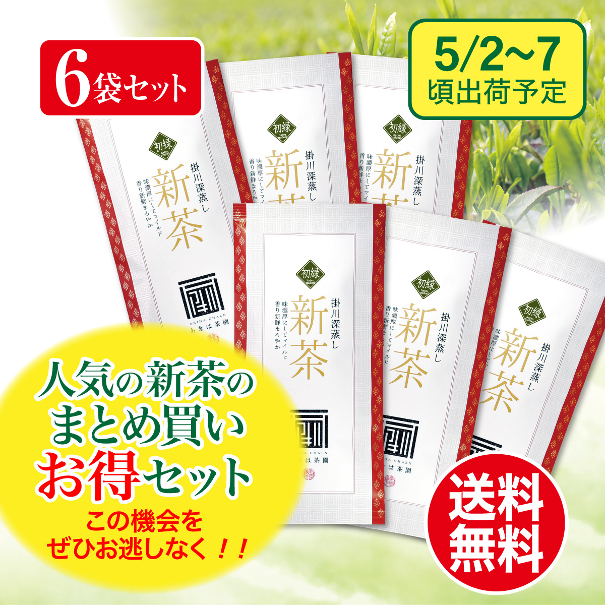 【予約新茶・まとめ買い】初緑（はつみどり）100g平袋 6袋セット【出荷予定日5/2〜7頃】