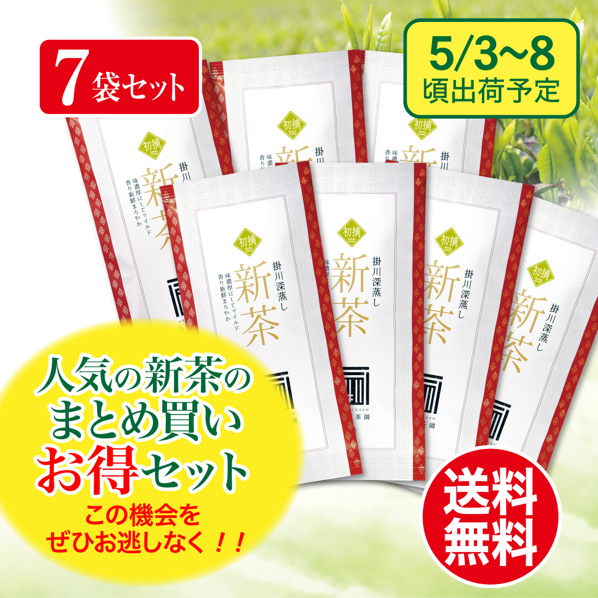 【予約新茶・まとめ買い】初摘（はつづみ）100g平袋7袋セット【出荷予定日5/3〜8頃】