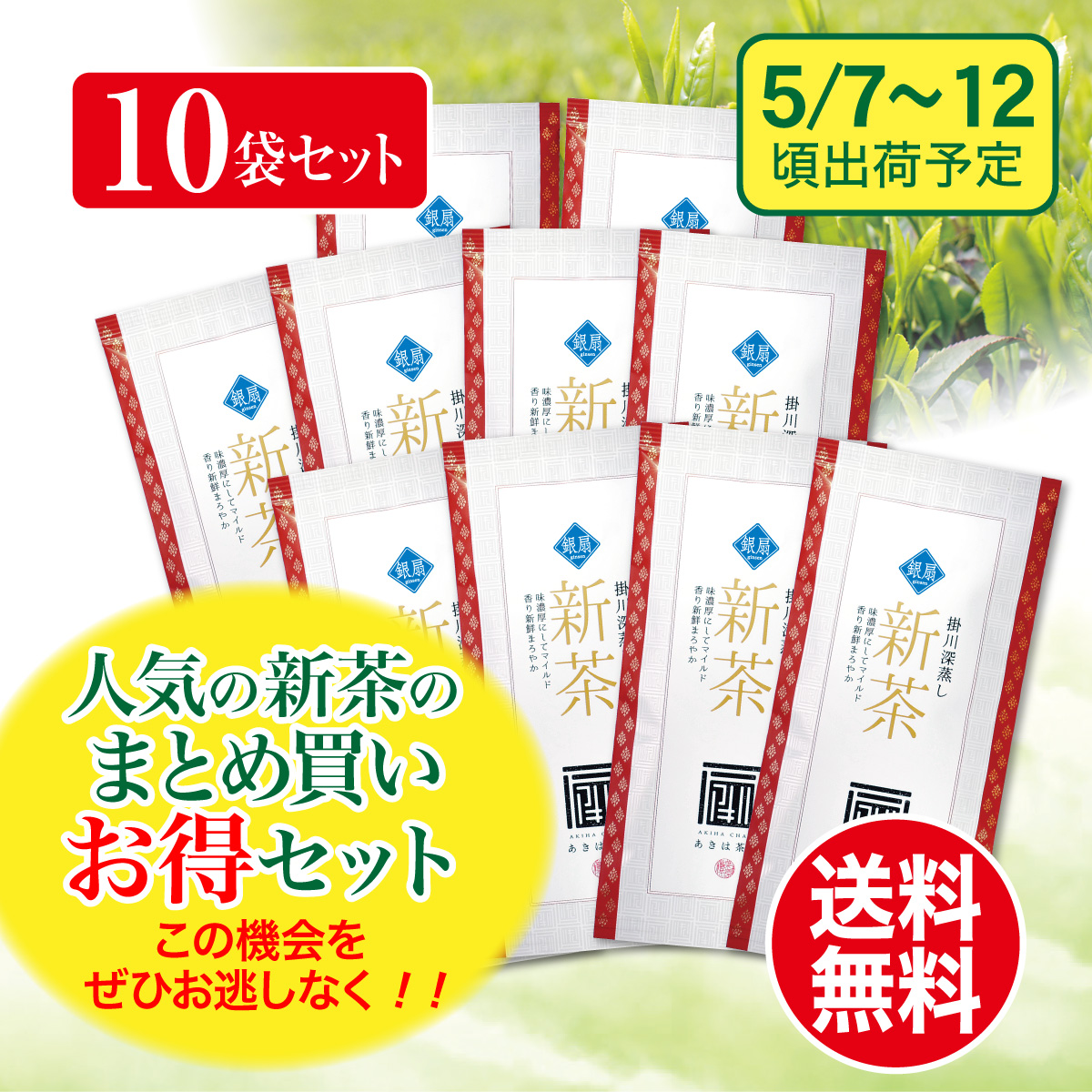 【予約新茶・まとめ買い】銀扇（ぎんせん）100g平袋10袋セット【出荷予定日5/7〜12頃】