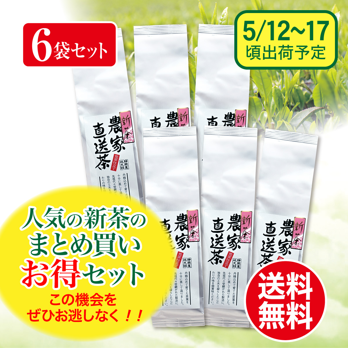 【予約新茶・まとめ買い】農家直送茶 200g 6袋セット【出荷予定日5/12〜17頃】
