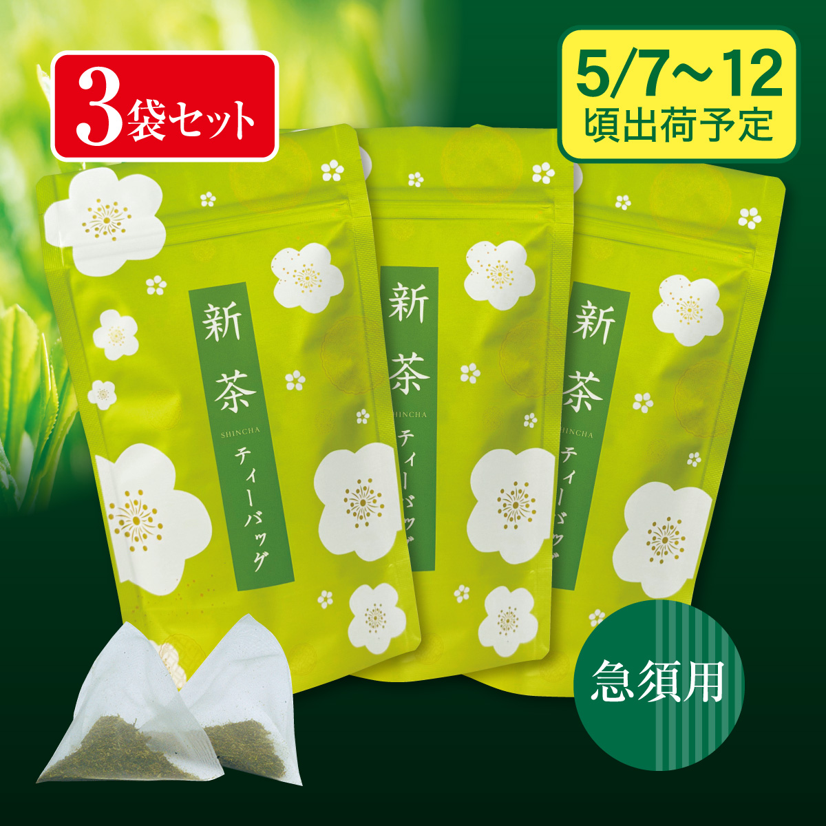 【予約新茶】新茶ティーバッグ 一番摘み3袋セット【出荷予定日5/7〜12頃】