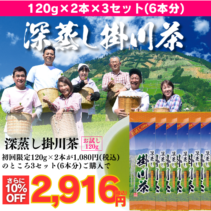 【さらに10％OFF】お試し深蒸し掛川茶2袋3セット(金扇一煎パック付)