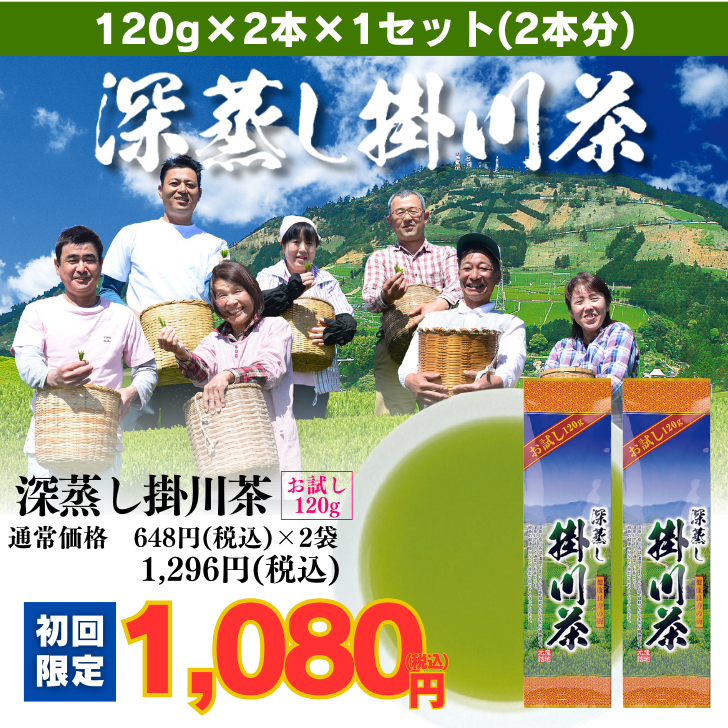 お試し深蒸し掛川茶2袋セット(金扇一煎パック付)