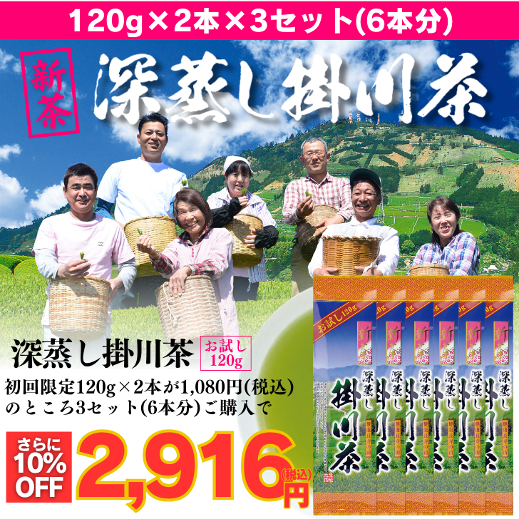 【新茶】【さらに10％OFF】お試し深蒸し掛川茶2袋3セット(金扇一煎パック付)