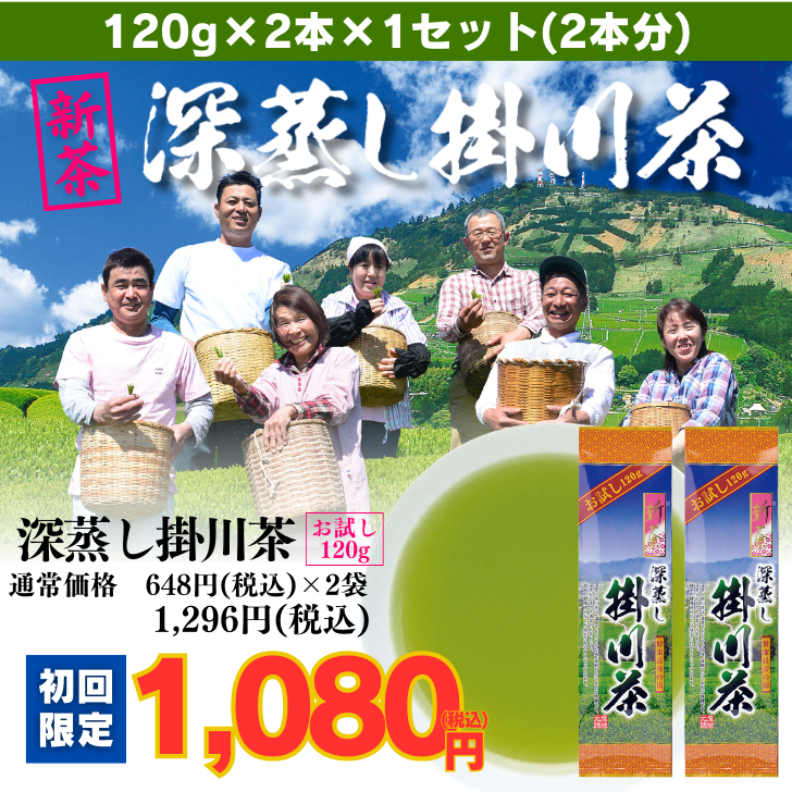 【新茶】お試し深蒸し掛川茶2袋セット(金扇一煎パック付)