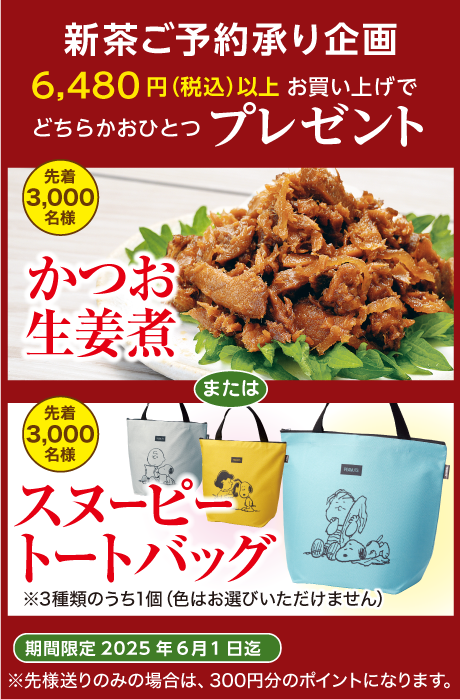 かつお生姜煮_スヌーピートートバッグ