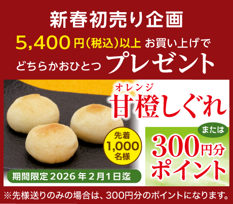 甘橙_オレンジ_しぐれ